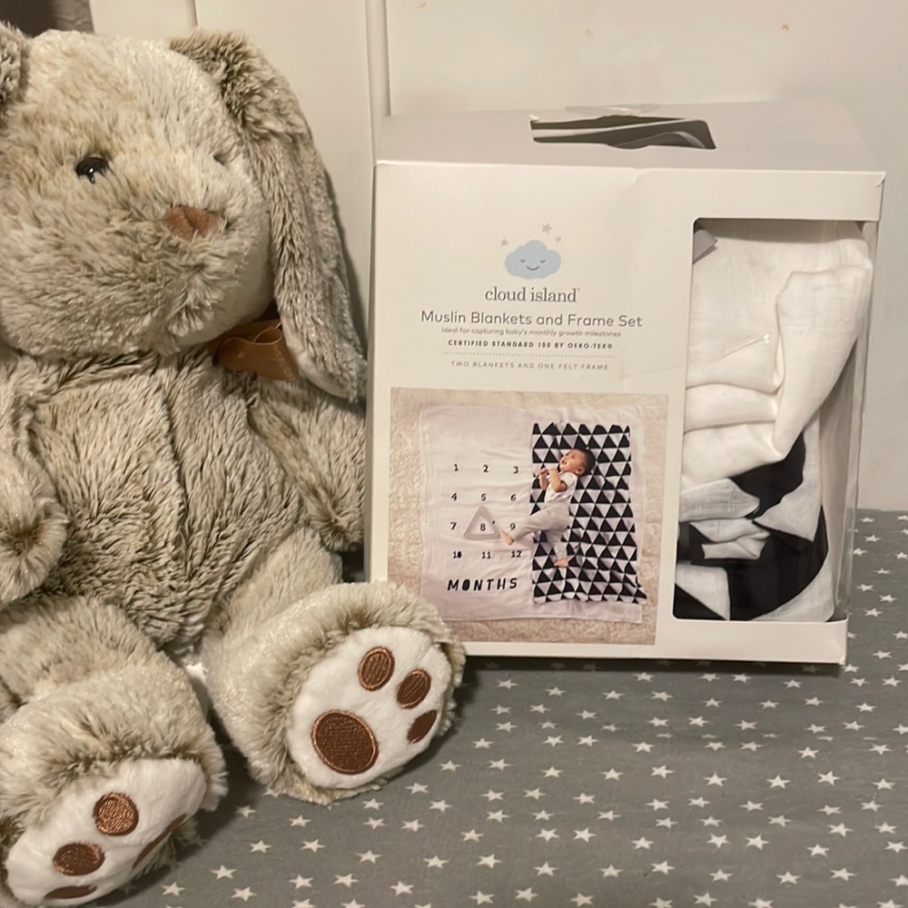 Milestone blanket